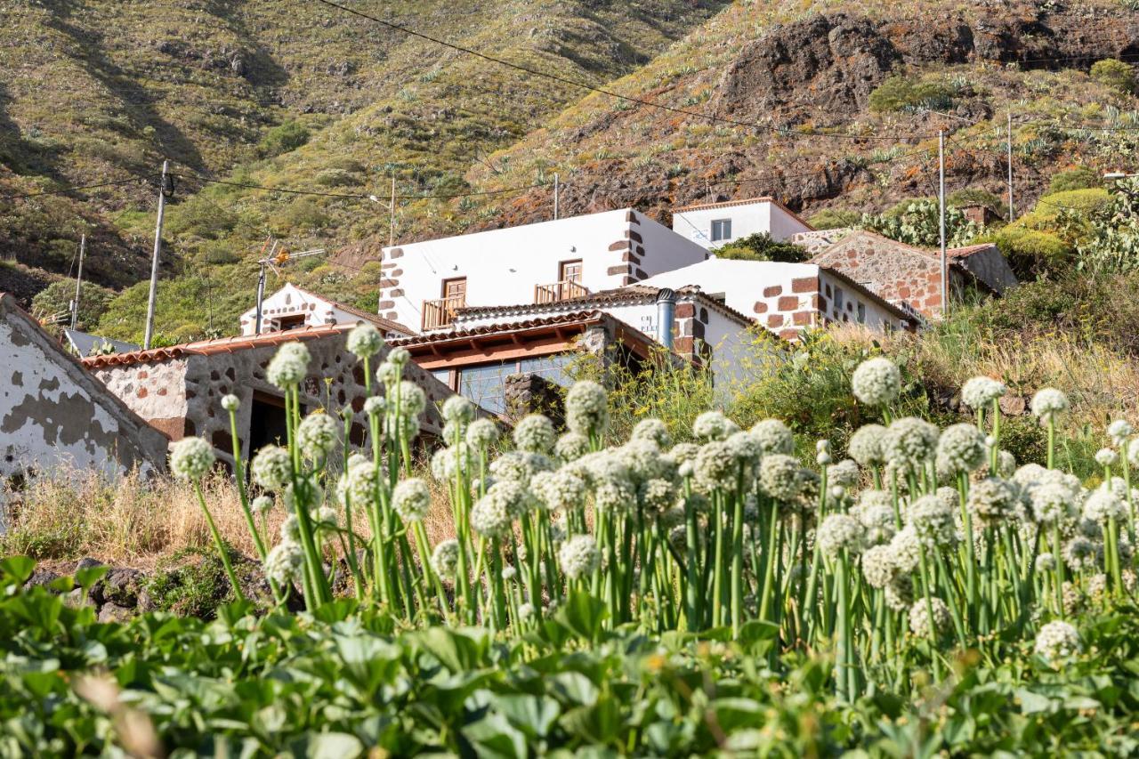 Home2Book Nature Carrizales And Masca House & Wifi Buenavista Del Norte Dış mekan fotoğraf