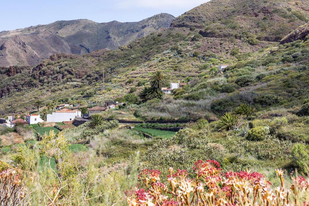 Home2Book Nature Carrizales And Masca House & Wifi Buenavista Del Norte Dış mekan fotoğraf